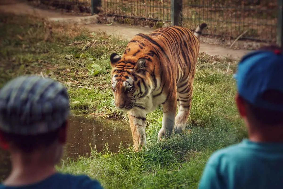 Gotha | Oberhof Hotel Urlaub im Thüringenschanze