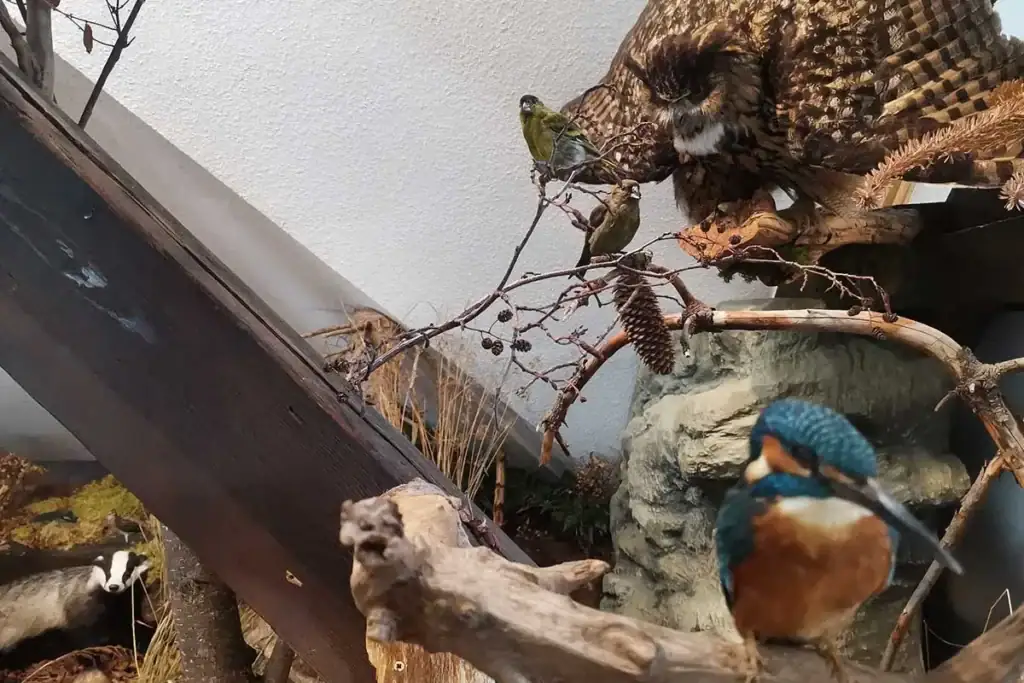 Ausstellung Biosphäre, Ausflugstipp Oberhof, Hotel Thüringenschanze