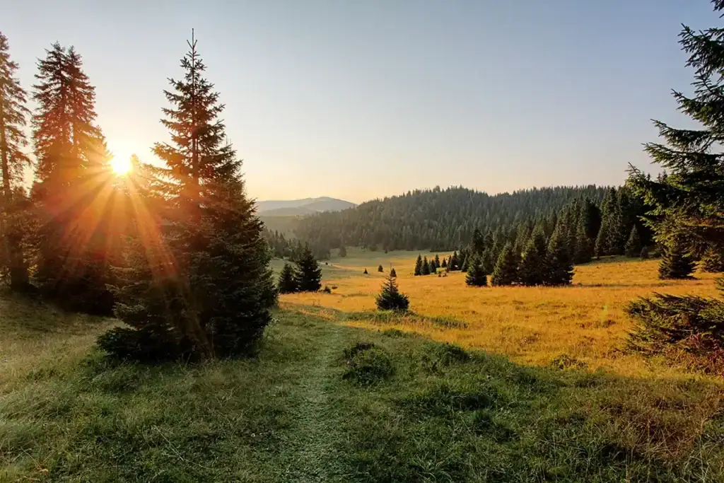 Herbst Wandern, Symbolbild - Hotel Oberhof - TTstudio-AdobeStock