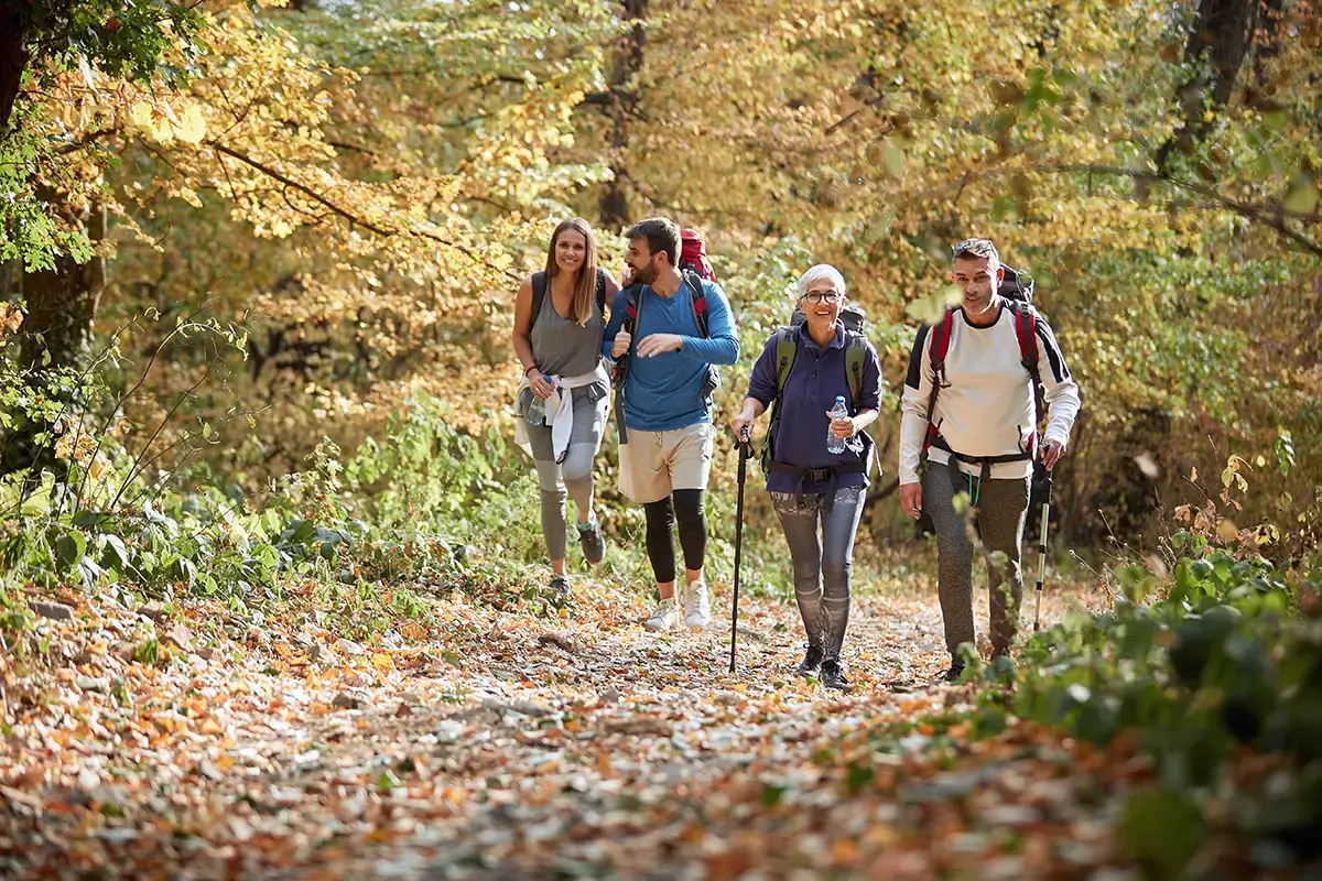 Herbst Wandern, Symbolbild - Hotel Oberhof - luckybusiness-AdobeStock