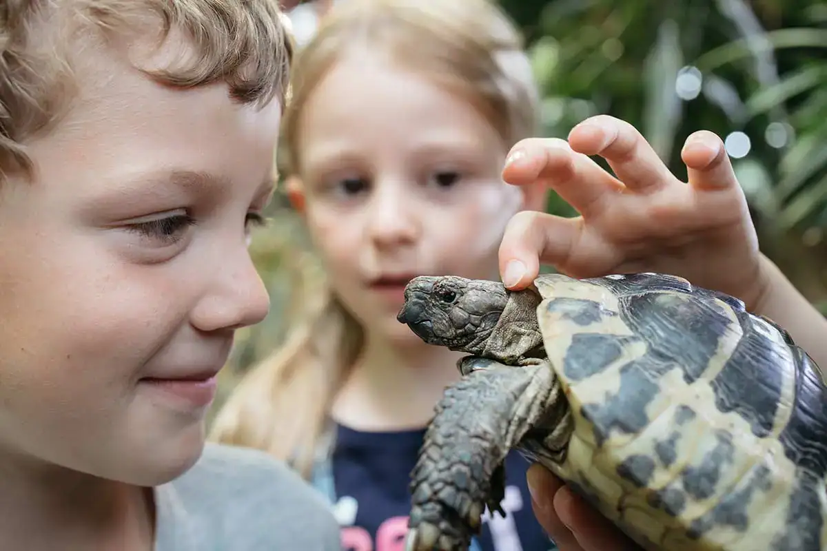 Meeresaquarium Zella-Mehlis. Ausflugstipp Oberhof Hotel Thüringenschanze