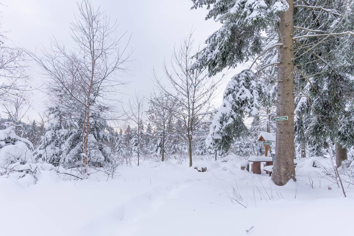 Winterurlaub in Thüringen, Hotel Tipp Oberhof