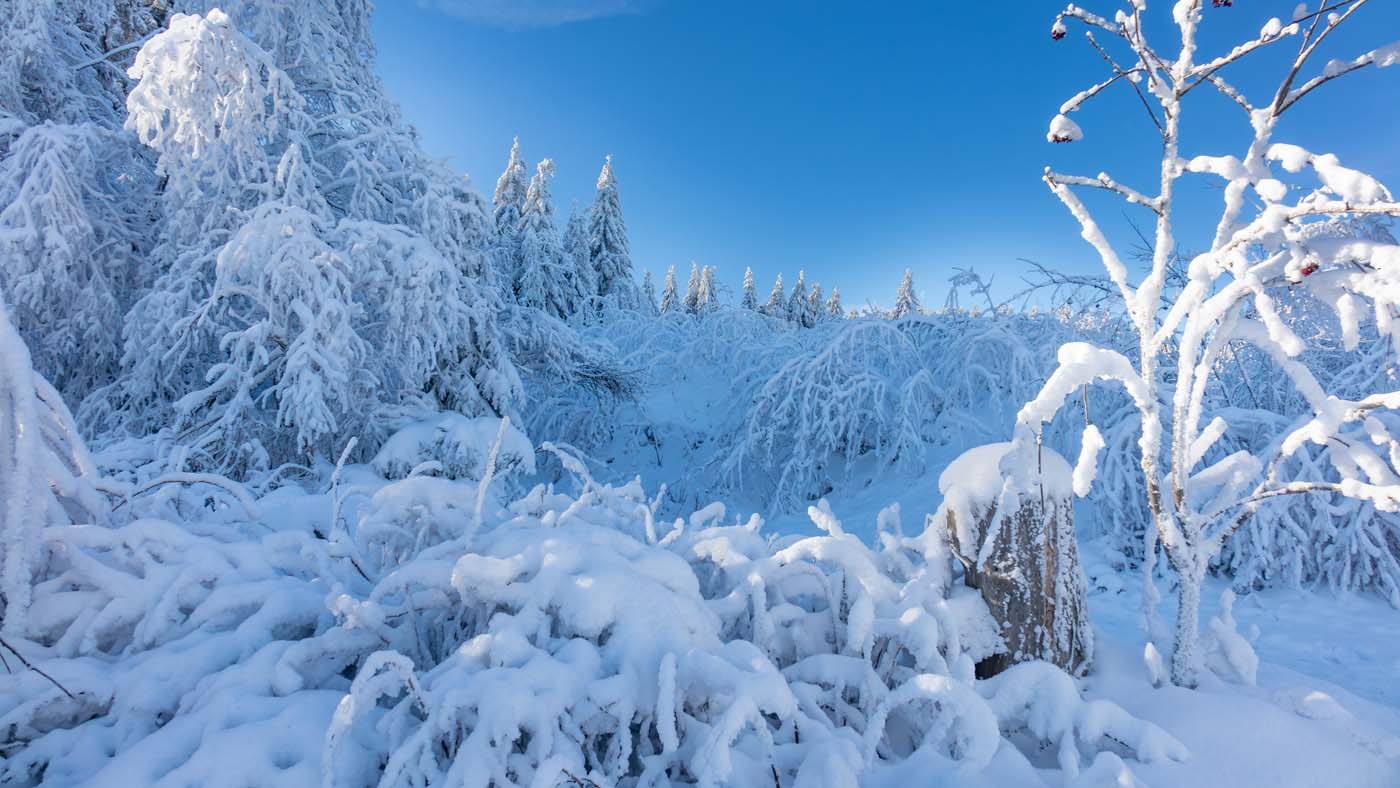 Winterurlaub in Thüringen, Hotel Tipp Oberhof