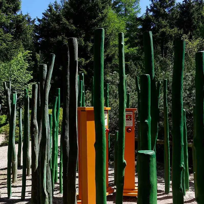 Ausflug in den Rennsteiggarten Oberhof, Hotel Tipp