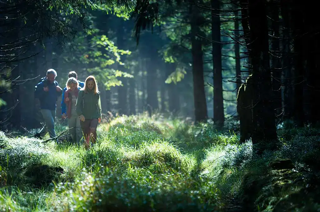 Wanderer im Thüringer Wald. Tipp Hotel Oberhof - Wanderungen.