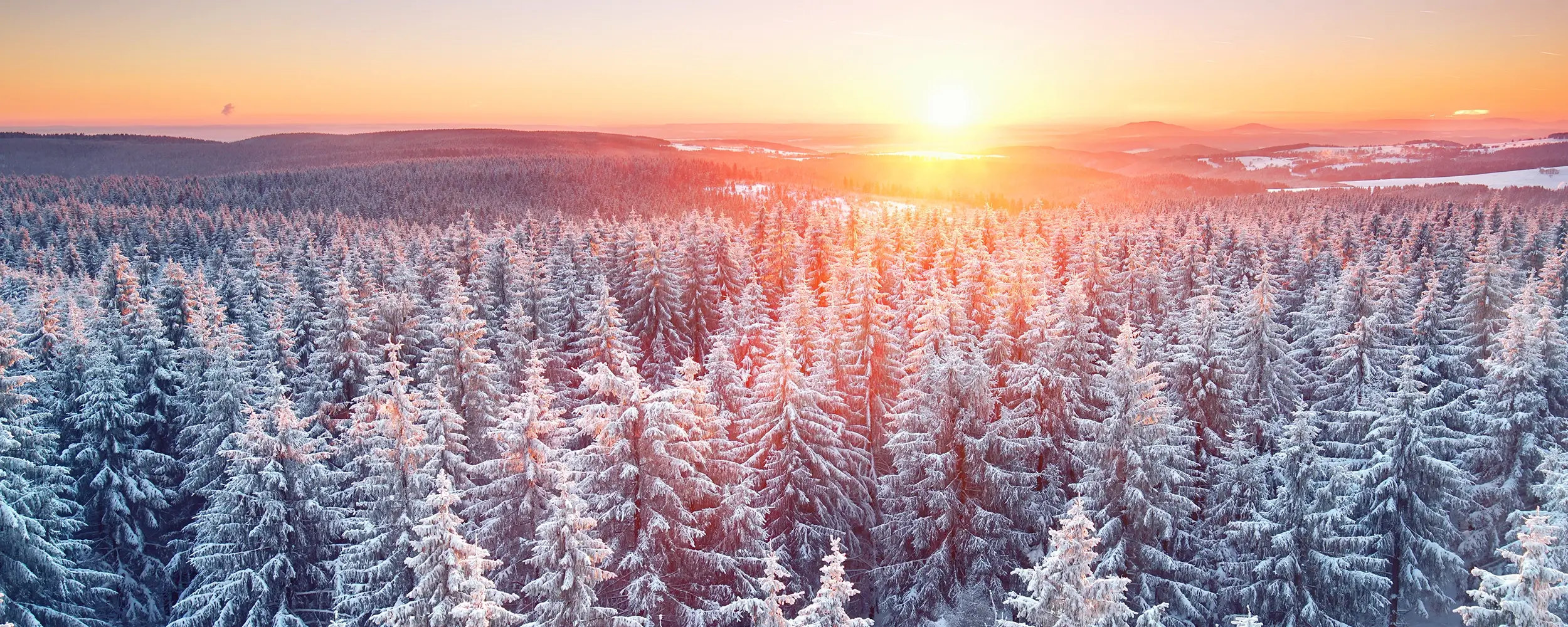 Winter im Thüringer Wald, Hotel Oberhof