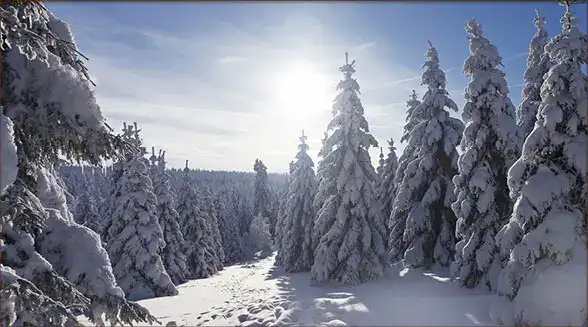 Winterlandschaft am Rennsteig, Hotel Oberhof Ausflugstipp